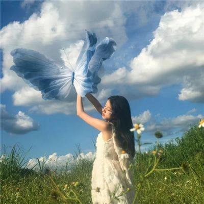 郁金香芳芳